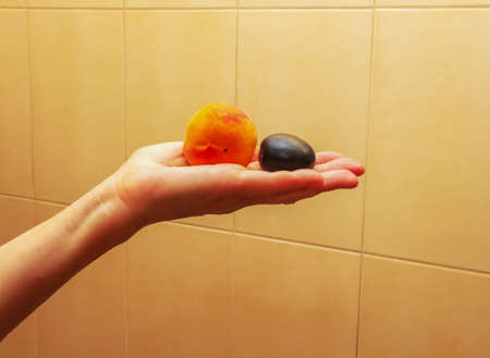 A hand holding a peach and a plum. The concept of diet food.