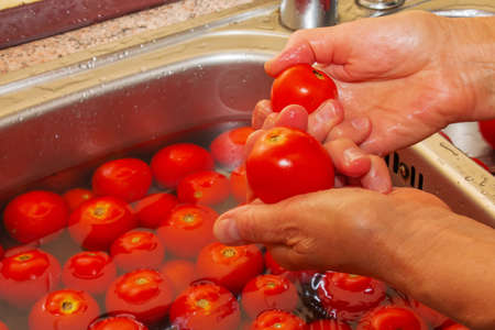 A woman's hands wash tomatoes under running water in the kitchen sink.の写真素材