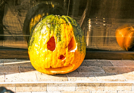 Harvesting pumpkin for Halloween. Positive emotion concept.の写真素材