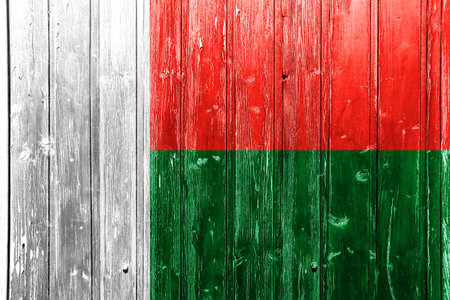 Madagascar flag on texture. concept collage. 26 June Madagascar Independence Day Flag.の写真素材