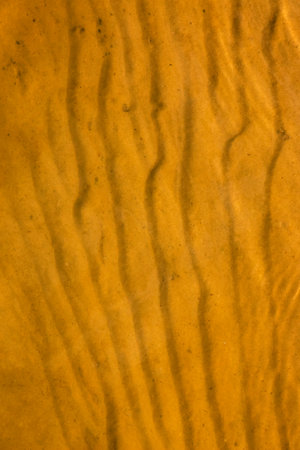 Water ripple texture background. Wavy water surface during sunset, golden light reflecting in the...