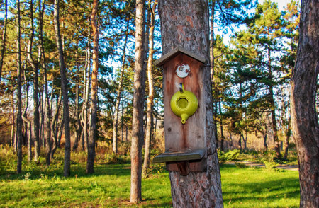 wooden birdhouse birdhouse. Take care of the animals. Crafts with children.