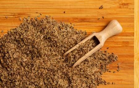 Whole dill seeds close-up. Anetum graveolens organic fruit for medicinal herbs concept. Spices, seasonings and condiments. Growing dill. The texture of the seeds.の写真素材