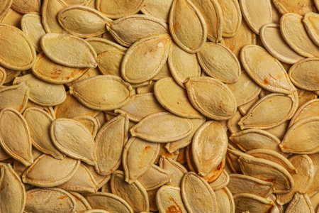 Pumpkin seed texture. Pumpkin seeds pattern as background.の写真素材
