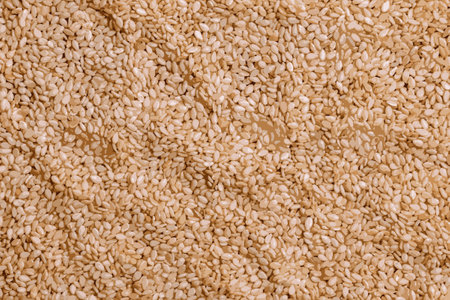 Realistic vector illustration of sesame seeds background. Healthy food concept.のイラスト素材
