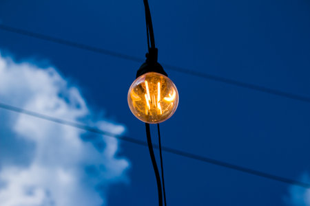 Close up of an Edison-style filament on a light bulb against a cloudy sky. energy crisis.