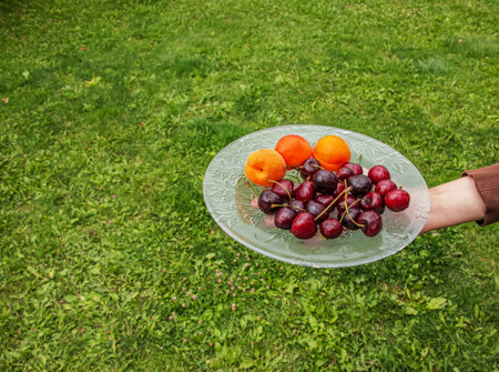 A hand holds a plate with fruits and berries on a background of green vegetation.の写真素材
