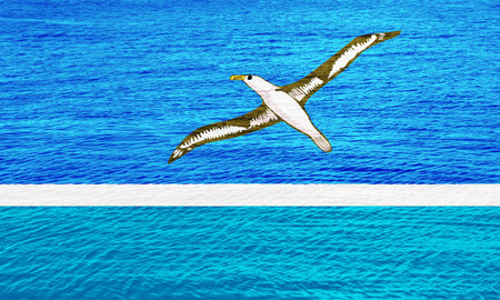Flag of Midway Atoll on a textured background. concept collage.の写真素材