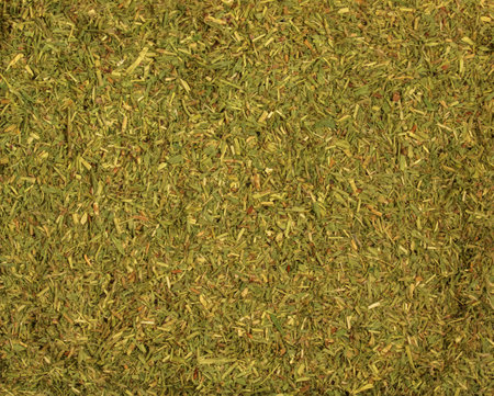 Background of dry knotweed herb used in herbal medicine. The concept of herbal treatment. Bian Xu. The active substance is Polygoni avicularis herbaの写真素材