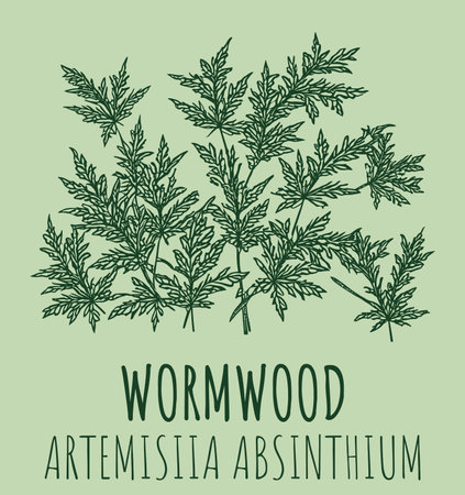 Drawings of Wormwood. The image was created using generative AI. Latin name Artemの素材