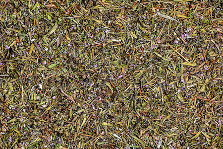 Illustration of thyme dry herb texture background. Latin name Thymus vulgaris L. Medicinal herbs. The concept of traditional medicine.の写真素材