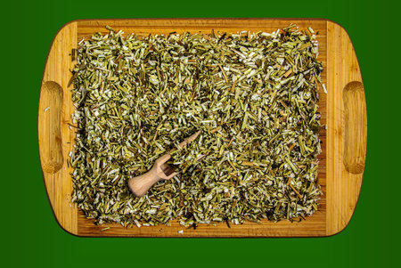 Background of dry grass succession. Herbal tea Bidens tripartita beggarticks tripartite string. The medicinal plant Bidens pilosa is called xian feng cao in traditional Chinese medicine.の写真素材