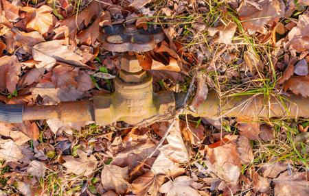Faucet on the pipe for water supply. Pipeline on the ground to supply irrigation water. Autumn. Yellow leaves fallen on the pipe.の写真素材