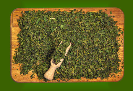 Dried nettle background. Nettle tea is a delicious and healthy drink. Medicinal herbs concept.の写真素材
