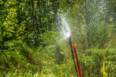 The sprinkler in the garden is watering the lawn. botanical garden.の写真素材