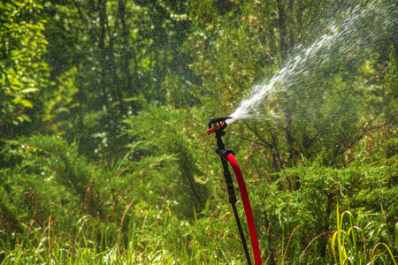 The sprinkler in the garden is watering the lawn. botanical garden.の写真素材
