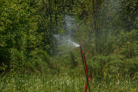 The sprinkler in the garden is watering the lawn. botanical garden.の写真素材