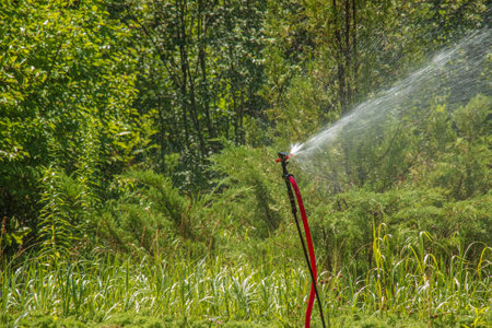 The sprinkler in the garden is watering the lawn. botanical garden.の写真素材