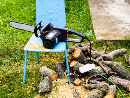 Electric chain saw and sawn wood during seasonal working in the garden and cutting trees for...