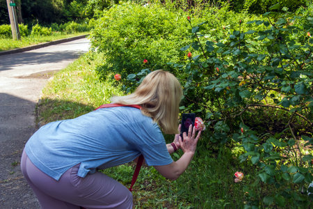 Dnepr, Ukraine - 05.26.2023: A woman photographs pink roses on her phone while walking through the botanical garden. Landscaping and beautification of the cityのeditorial素材