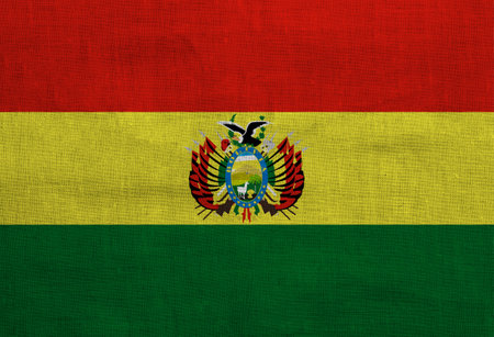 Flag of Bolivia on a textured background. concept collageの写真素材