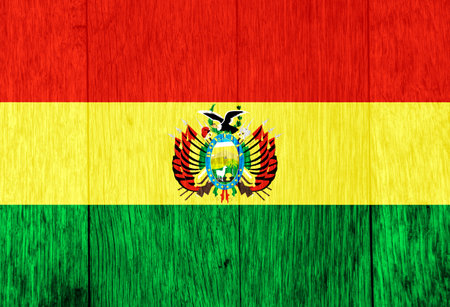 Flag of Bolivia on a textured background. concept collageの写真素材