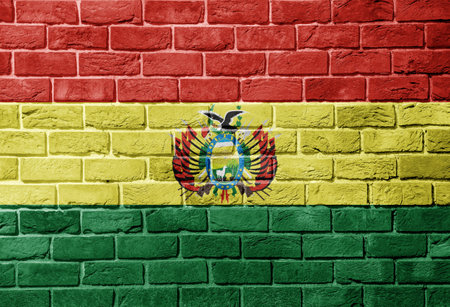 Flag of Bolivia on a textured background. concept collageの写真素材