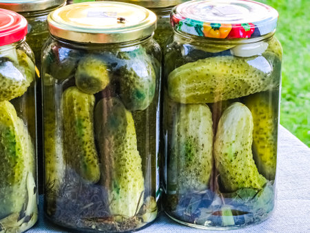 The process of pickling cucumbers for the winter in glass jars. Cucumbers and spices for pickling are laid out in jars. Preservation is ready.の写真素材