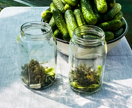 The process of pickling cucumbers for the winter in glass jars. Spices for salting are laid out in jars.の写真素材