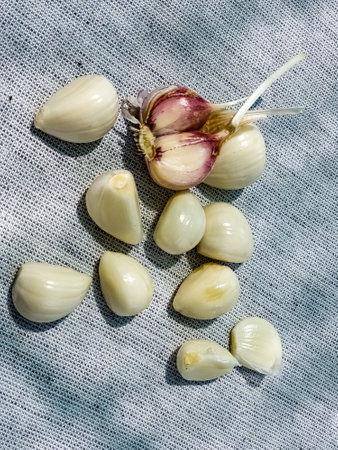 Garlic cloves and a head of garlic on a gray burlap.
