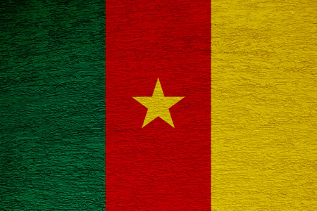 Flag of the Republic of Cameroon on a textured background. concept collage.の写真素材