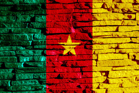 Flag of the Republic of Cameroon on a textured background. concept collage.の写真素材