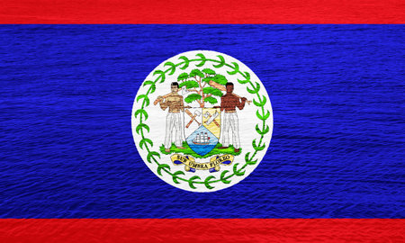 Flag and coat of arms of Belize on a textured background. concept collage.の写真素材