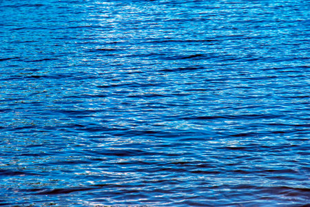 Water ripple texture background. Wavy water surface during sunset, golden light reflecting in the water.の写真素材