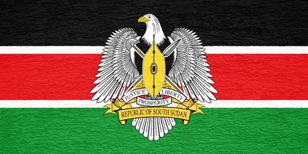 Flag and coat of arms of the Republic of South Sudan on a textured background. Concept collage.の写真素材