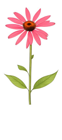 Illustration of Echinacea purpurea generative ai. A classic North American prairie plant with showy large flowers.の素材