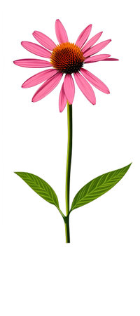 Illustration of Echinacea purpurea generative ai. A classic North American prairie plant with showy large flowers.の素材