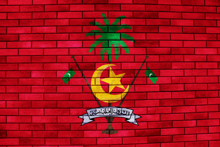 Flag and coat of arms of the Republic of Maldives on a textured background. Concept collage.の写真素材