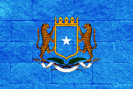Flag and coat of arms of Federal Republic of Somalia on a textured background. Concept collage.の写真素材