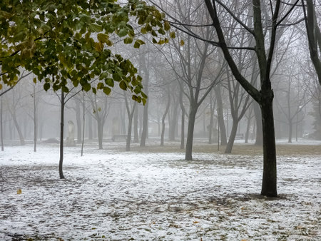 Fog in a city park. Sad autumn landscape. Fog means a change in weather.の写真素材