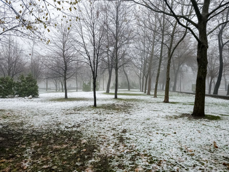 Fog in a city park. Sad autumn landscape. Fog means a change in weather.の写真素材