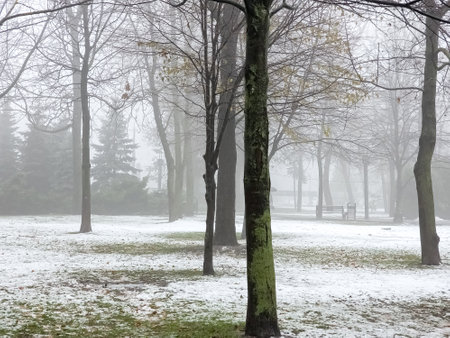 Fog in a city park. Sad autumn landscape. Fog means a change in weather.の写真素材