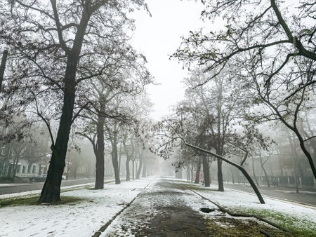 Fog in a city park. Sad autumn landscape. Fog means a change in weather.の写真素材