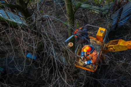 Municipal service workers stand with a chainsaw in a crane basket and trim dangerous trees.の写真素材