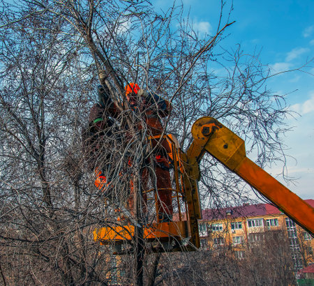 Dnepr, Ukraine - 03.20.2024: Municipal service workers stand with a chainsaw in a crane basket and trim dangerous trees.のeditorial素材