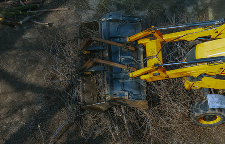 A bulldozer collects branches after pruning trees. View from above.