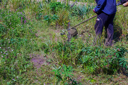 A man cuts and mows the grass. Grass cutting work. Worker mows lawn with grass.