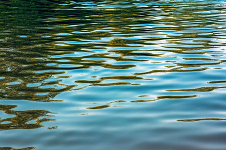 Water ripple texture background. Wavy water surface during sunset, golden light reflecting in the...