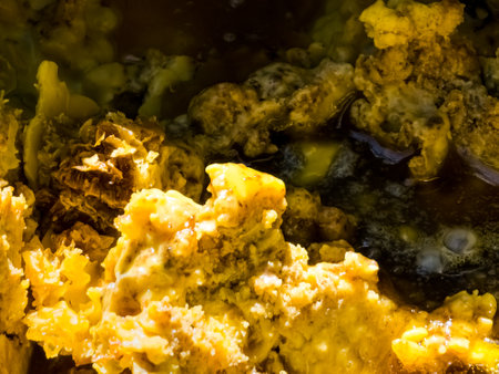 Apiary. Wax is melted from used honeycombs. Background.の写真素材