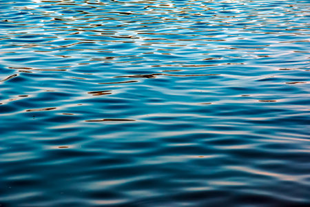 Water ripple texture background. Wavy water surface during sunset, golden light reflecting in the...